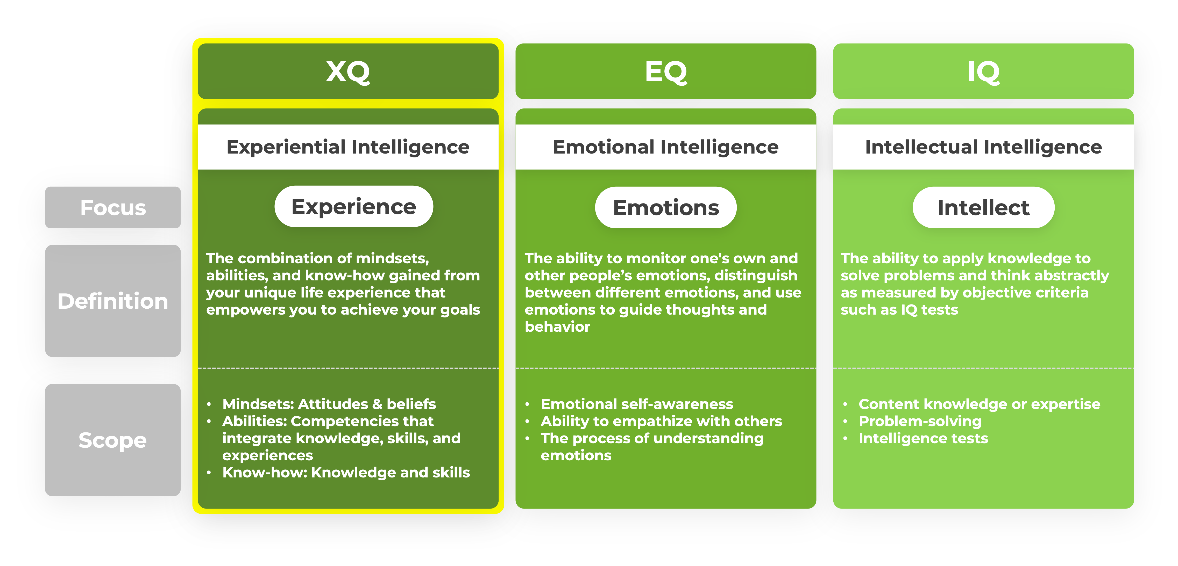 3-Types-of-Intelligence-IQ-EQ-XQ