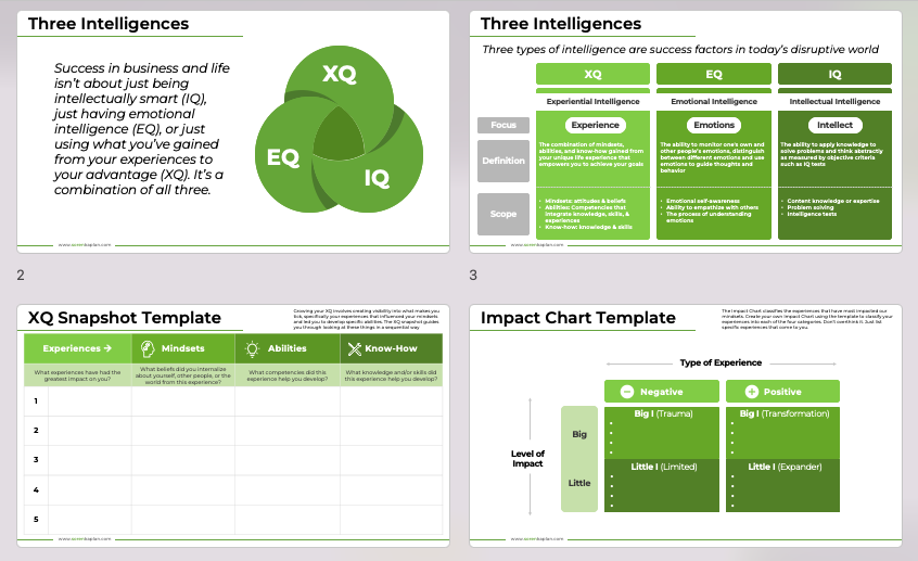 XQ-PowerPoint-Presentation-2